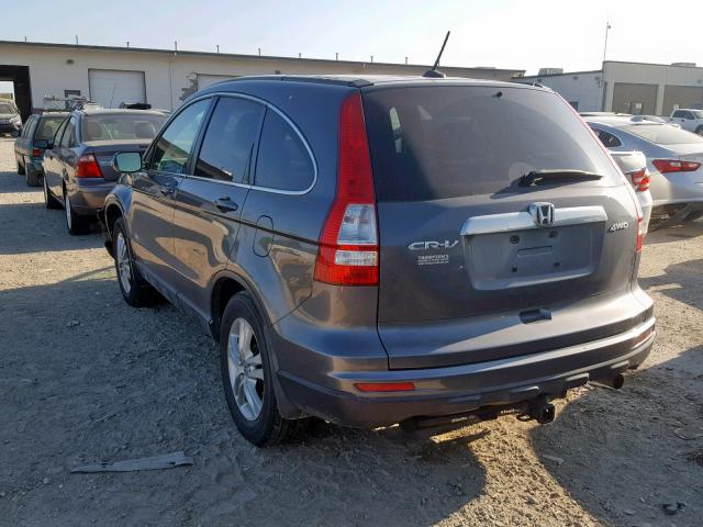 JHLRE4H74AC008820 - 2010 HONDA CR-V EXL GRAY photo 3