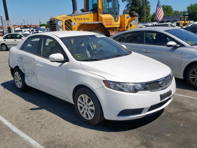 KNAFU4A25A5069175 - 2010 KIA FORTE EX WHITE photo 1