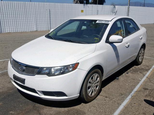 KNAFU4A25A5069175 - 2010 KIA FORTE EX WHITE photo 2