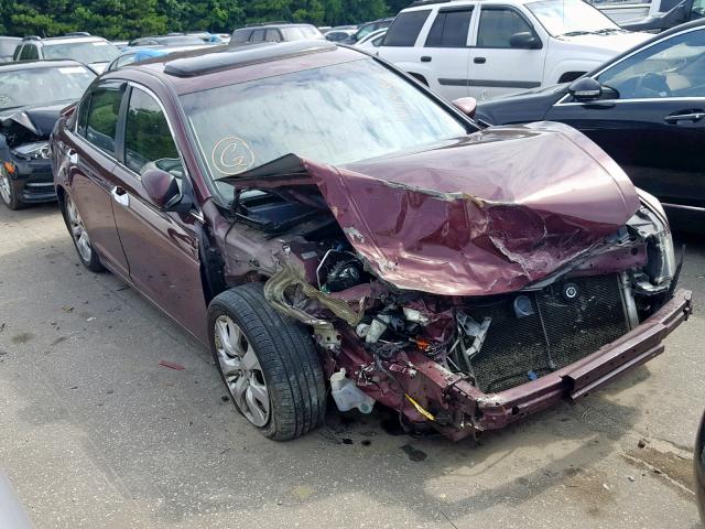 1HGCP2F88AA121244 - 2010 HONDA ACCORD EXL BURGUNDY photo 1