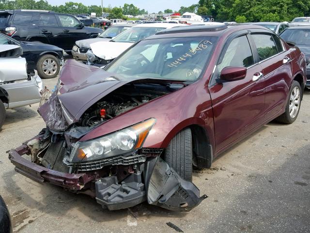 1HGCP2F88AA121244 - 2010 HONDA ACCORD EXL BURGUNDY photo 2