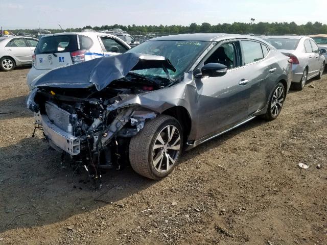 1N4AA6AP2HC415580 - 2017 NISSAN MAXIMA 3.5 GRAY photo 2