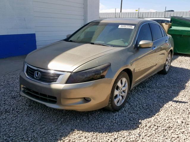 1HGCP368X9A051490 - 2009 HONDA ACCORD EXL BROWN photo 2