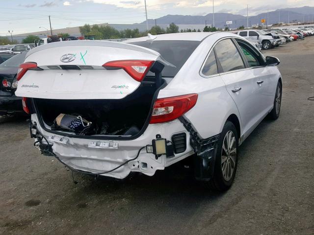 5NPE34AF2FH071347 - 2015 HYUNDAI SONATA SPO WHITE photo 4