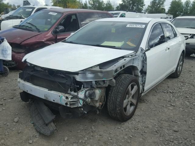 1G1ZC5E1XBF219554 - 2011 CHEVROLET MALIBU 1LT WHITE photo 2