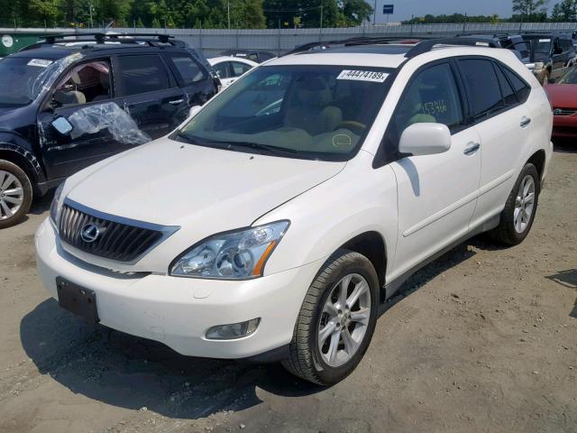 2T2GK31U38C032840 - 2008 LEXUS RX 350 WHITE photo 2