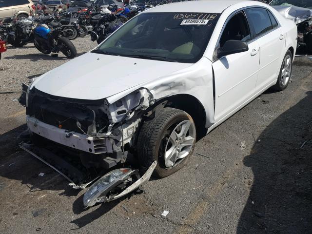 1G1ZA5EU0BF106812 - 2011 CHEVROLET MALIBU LS 白色 照片 2