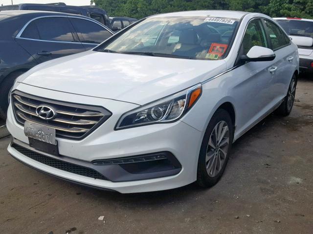 5NPE34AFXGH291871 - 2016 HYUNDAI SONATA SPO WHITE photo 2