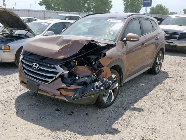 KM8J3CA23HU554520 - 2017 HYUNDAI TUCSON LIM BROWN photo 2