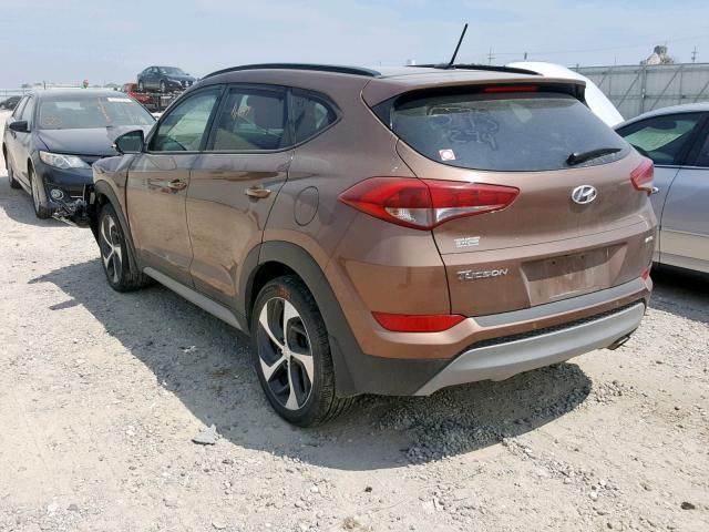 KM8J3CA23HU554520 - 2017 HYUNDAI TUCSON LIM BROWN photo 3