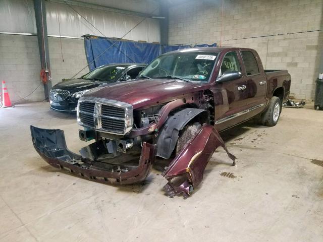 1D7HE58N65S102079 - 2005 DODGE DAKOTA QUA PURPLE photo 2