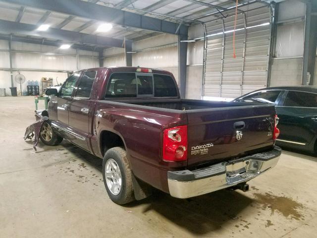 1D7HE58N65S102079 - 2005 DODGE DAKOTA QUA PURPLE photo 3