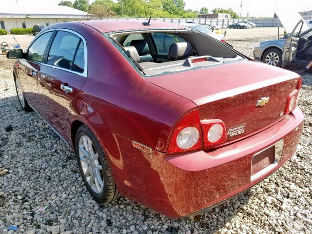 1G1ZK57778F183870 - 2008 CHEVROLET MALIBU LTZ მუქწითელი ფოტო 3