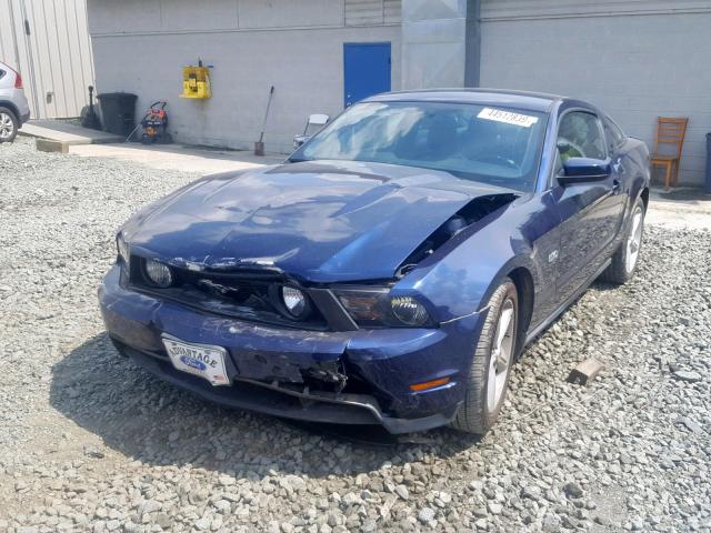 1ZVBP8CF3C5228730 - 2012 FORD MUSTANG GT BLUE photo 2