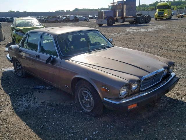 SAJAY1343GC460751 - 1986 JAGUAR XJ6 VANDEN TAN photo 1