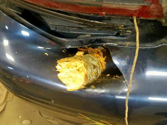 1G2WP52K63F116861 - 2003 PONTIAC GRAND PRIX BLACK photo 10