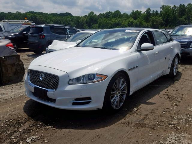 SAJWA2GB0DLV51934 - 2013 JAGUAR XJL PORTFO WHITE photo 2