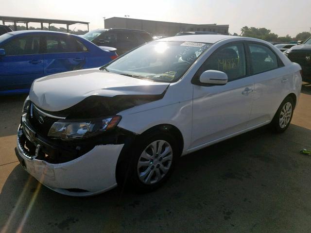 KNAFU4A22D5645938 - 2013 KIA FORTE EX WHITE photo 2