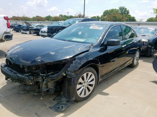 1HGCR2F84EA006883 - 2014 HONDA ACCORD EXL BLACK photo 2