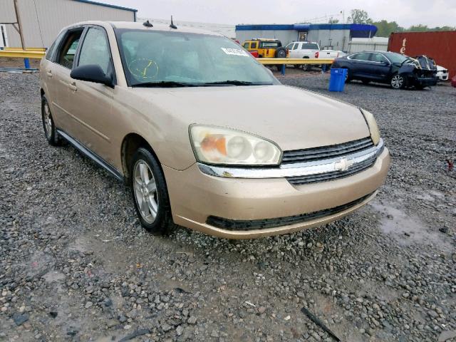 1G1ZT64885F131319 - 2005 CHEVROLET MALIBU MAX 米色 照片 1