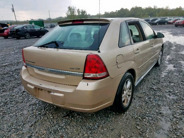 1G1ZT64885F131319 - 2005 CHEVROLET MALIBU MAX 米色 照片 4