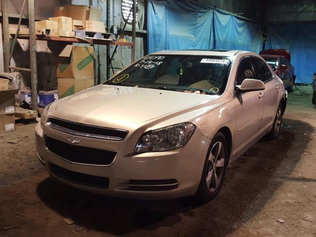 1G1ZC5E10BF251381 - 2011 CHEVROLET MALIBU 1LT 金色 照片 2