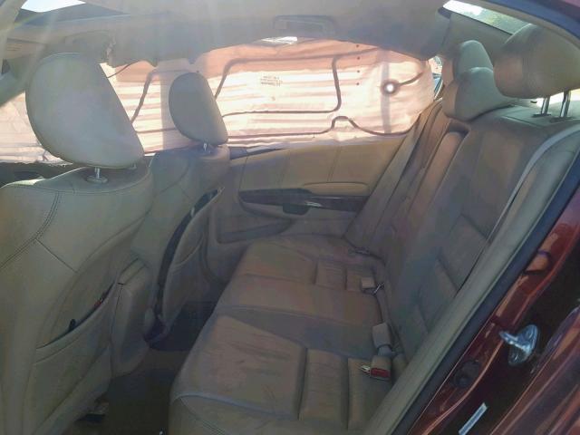 JHMCP26898C075922 - 2008 HONDA ACCORD EXL MAROON photo 6