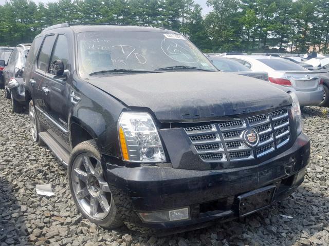 1GYUKBEF9AR259338 - 2010 CADILLAC ESCALADE L BLACK photo 1