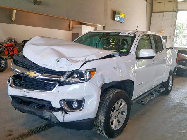 1GCGTCEN3J1210096 - 2018 CHEVROLET COLORADO L WHITE photo 2