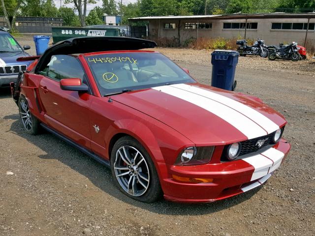 1ZVHT84N395111900 - 2009 FORD MUSTANG RED photo 1