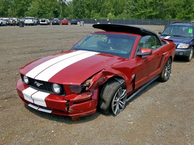 1ZVHT84N395111900 - 2009 FORD MUSTANG RED photo 2