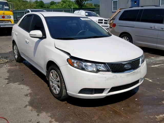 KNAFU4A28D5712302 - 2013 KIA FORTE EX WHITE photo 1