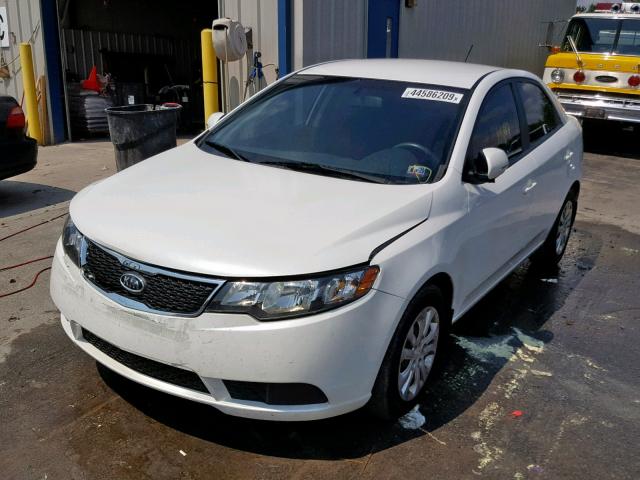 KNAFU4A28D5712302 - 2013 KIA FORTE EX WHITE photo 2