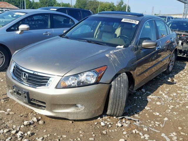 1HGCP3F8XAA013682 - 2010 HONDA ACCORD EXL GOLD photo 2