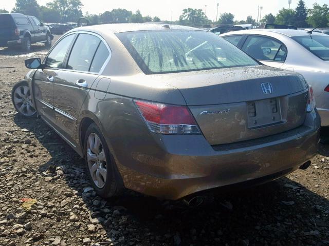 1HGCP3F8XAA013682 - 2010 HONDA ACCORD EXL GOLD photo 3