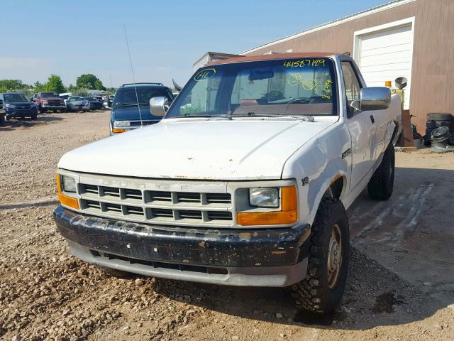 1B7GG26X8MS292081 - 1991 DODGE DAKOTA WHITE photo 2