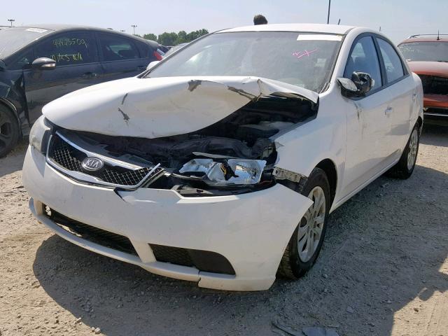 KNAFU4A22A5810589 - 2010 KIA FORTE EX WHITE photo 2