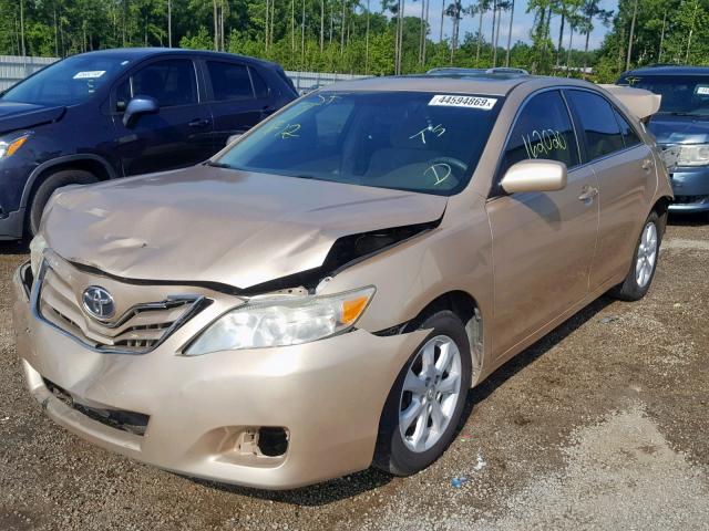 4T1BF3EK8AU028900 - 2010 TOYOTA CAMRY BASE GOLD photo 2