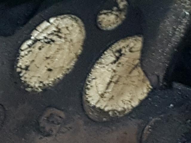 1RF12061711012892 - 2001 ROADMASTER RAIL EXECUTIVE/ Marrón foto 8