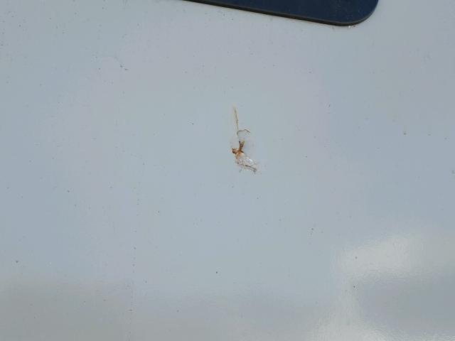 4YDT25R21H1530831 - 2017 KEYSTONE SPRINTER ყავისფერი ფოტო 9