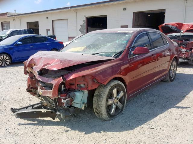 1G1ZC5E1XBF214483 - 2011 CHEVROLET MALIBU 1LT RED photo 2