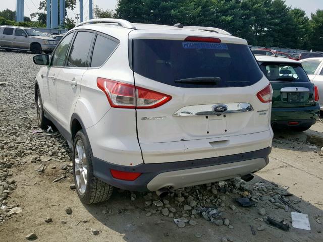 1FMCU9J97GUA14589 - 2016 FORD ESCAPE TIT WHITE photo 3