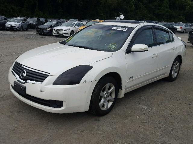 1N4CL21E08C184849 - 2008 NISSAN ALTIMA HYB WHITE photo 2