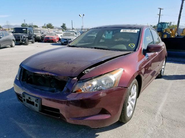 JHMCP26828C023628 - 2008 HONDA ACCORD EXL BURGUNDY photo 2