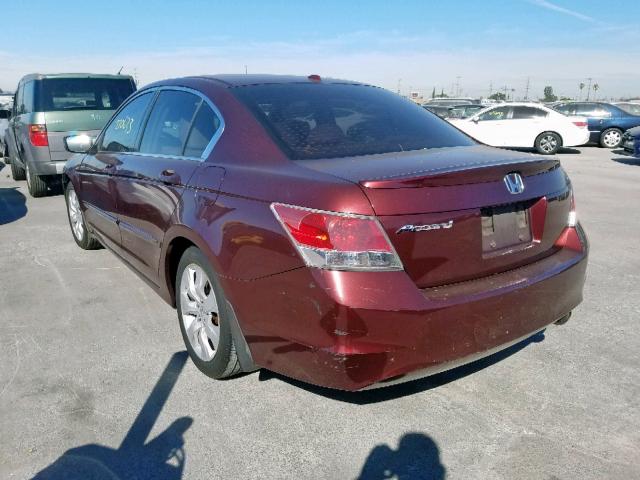 JHMCP26828C023628 - 2008 HONDA ACCORD EXL BURGUNDY photo 3