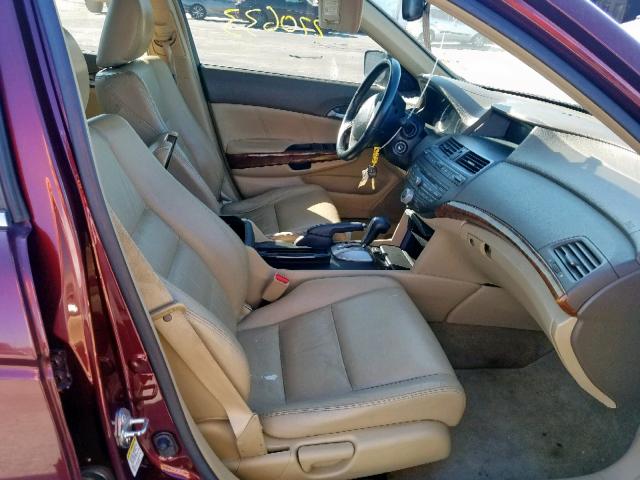 JHMCP26828C023628 - 2008 HONDA ACCORD EXL BURGUNDY photo 5