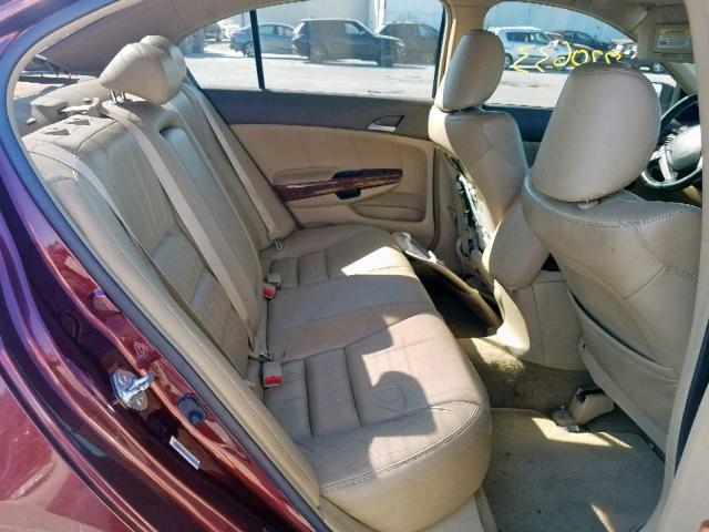 JHMCP26828C023628 - 2008 HONDA ACCORD EXL BURGUNDY photo 6