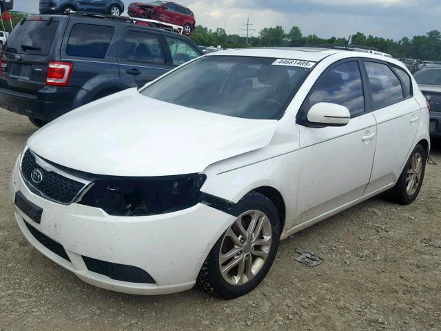 KNAFU5A21C5529165 - 2012 KIA FORTE EX WHITE photo 2