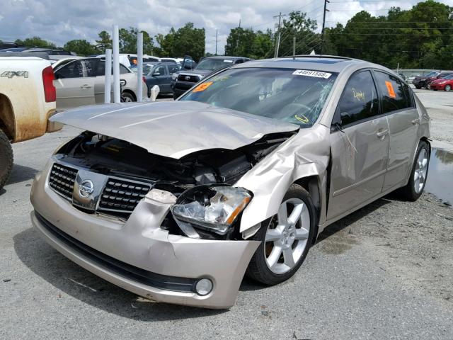 1N4BA41E75C806033 - 2005 NISSAN MAXIMA SE GOLD photo 2