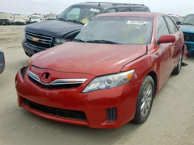 4T1BB3EK0AU115606 - 2010 TOYOTA CAMRY HYBR RED photo 2